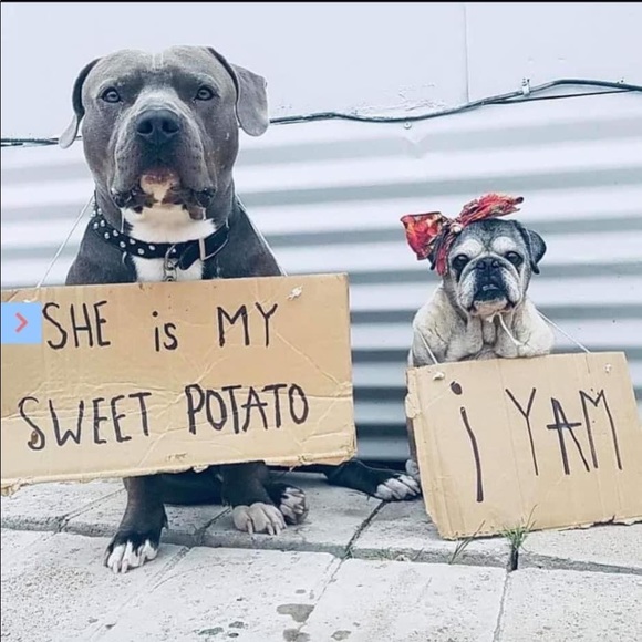 Meet your Posher, Cassandra - Picture 1 of 1